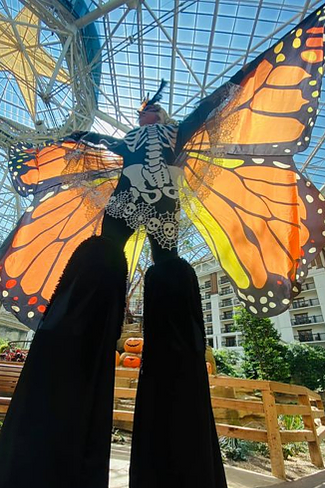 Our stilt walkers are available for all sorts of events in DFW.
