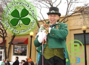 Book Holiday Entertainment for St. Patrick's Day